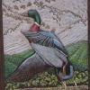 Item #09272011

Mallard dimentional leather carving
approx 10" x 14"  in wood frame
$100.00
