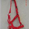 Size 6 :  Foal to weanling Halter    

 6 available	
Red	
	
$11.00 + shipping