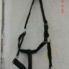 Size 5:  Weanling to yearling Halter  

 6 available   	Black

	

$11.00 + shipping