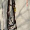 Item #Bridle 7      $36.00

5/8" wide Latigo Bridle, 5 ft. reins.  
Brow band,  double layer & stitched. bridle, chin strap, curb bit.   Textan Brand.